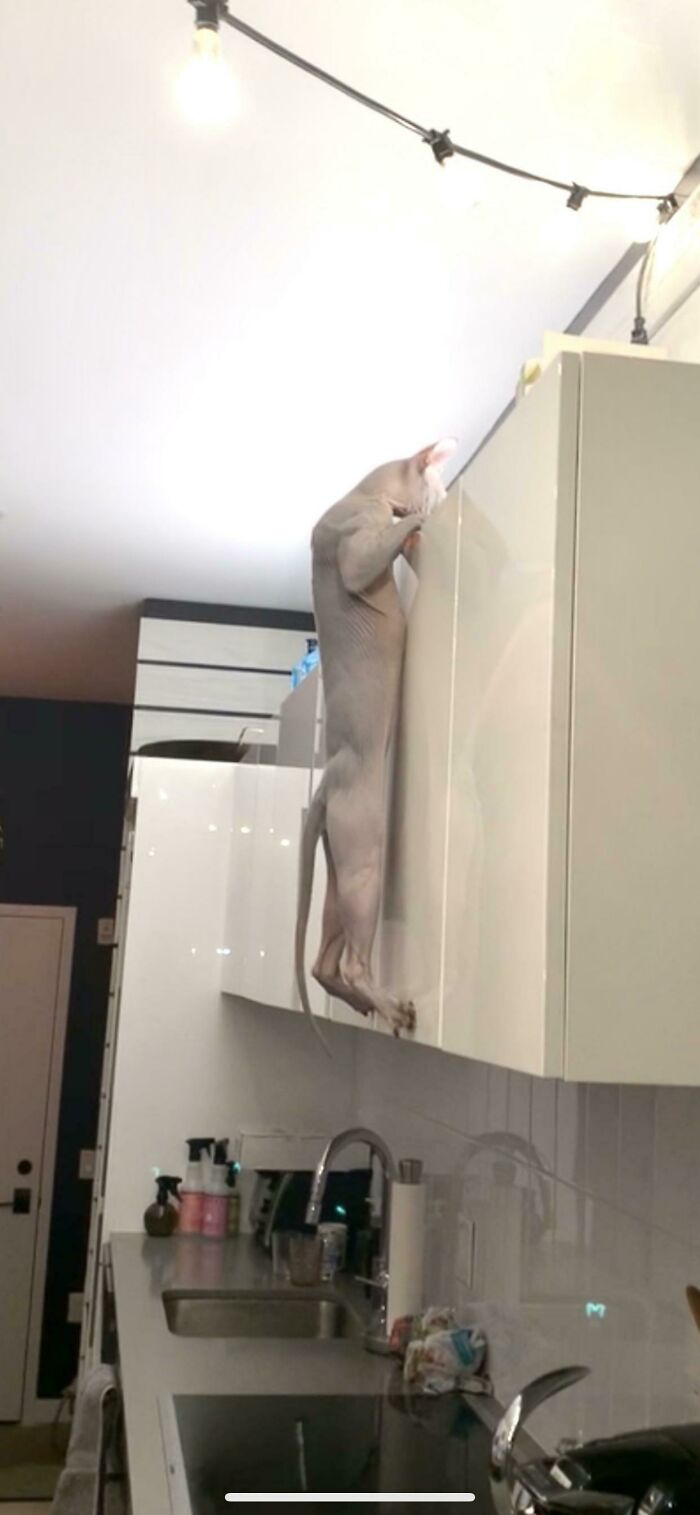 05-10-54-162210205328045928