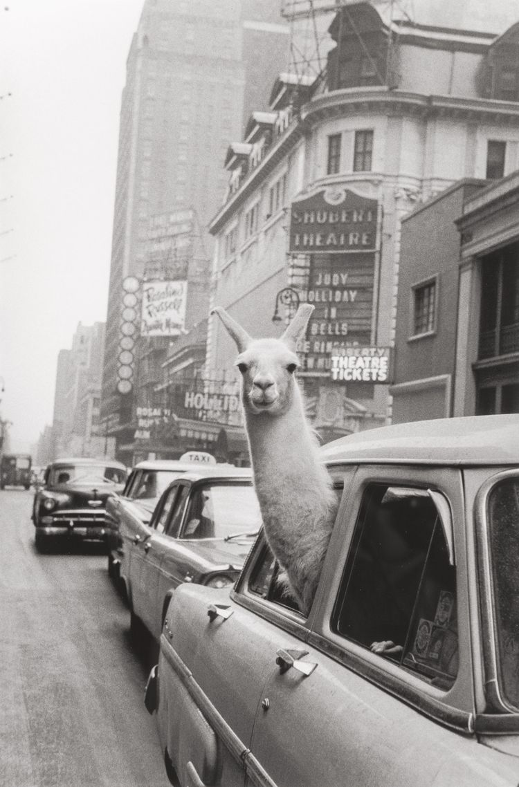 05-10-55-1621842921703217561