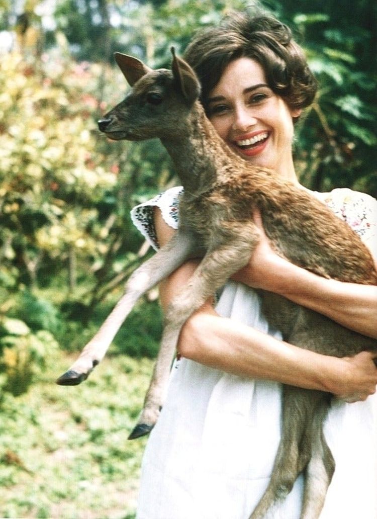 05-11-11-1622448674332508712