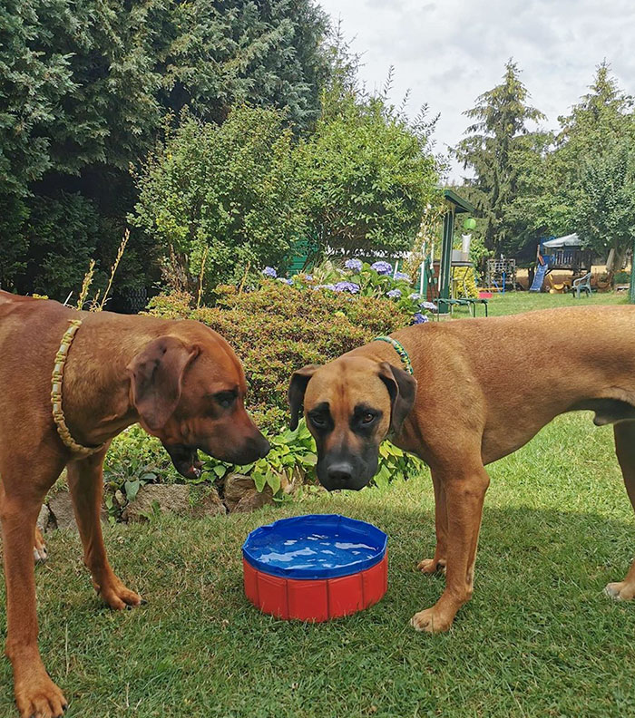 05-11-18-1621930722458263946