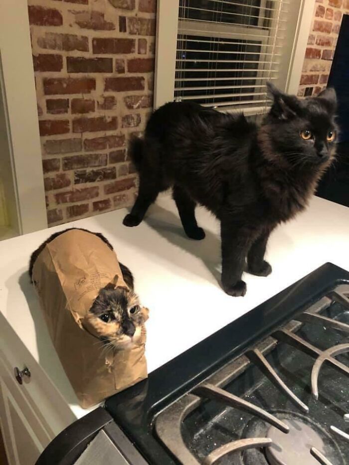 05-12-15-1621934139776816829