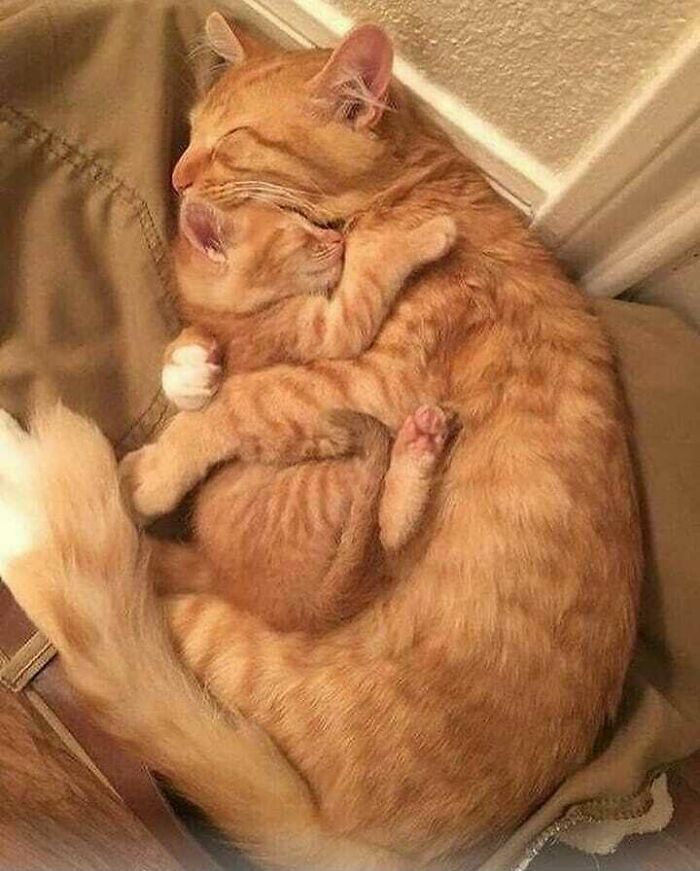 05-12-15-1621934152506468155