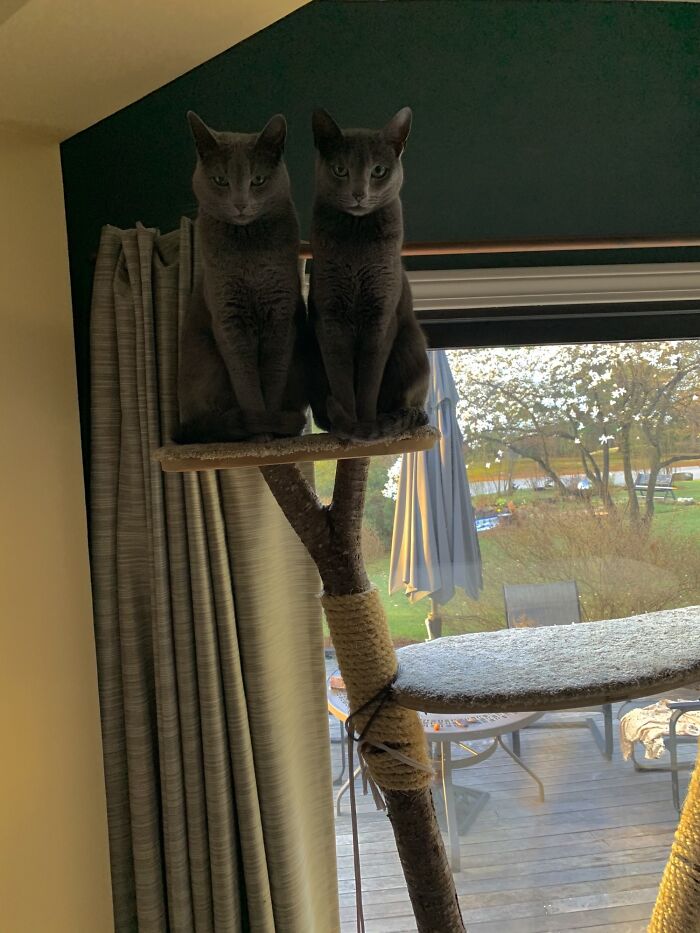 05-12-16-1621934172644207025