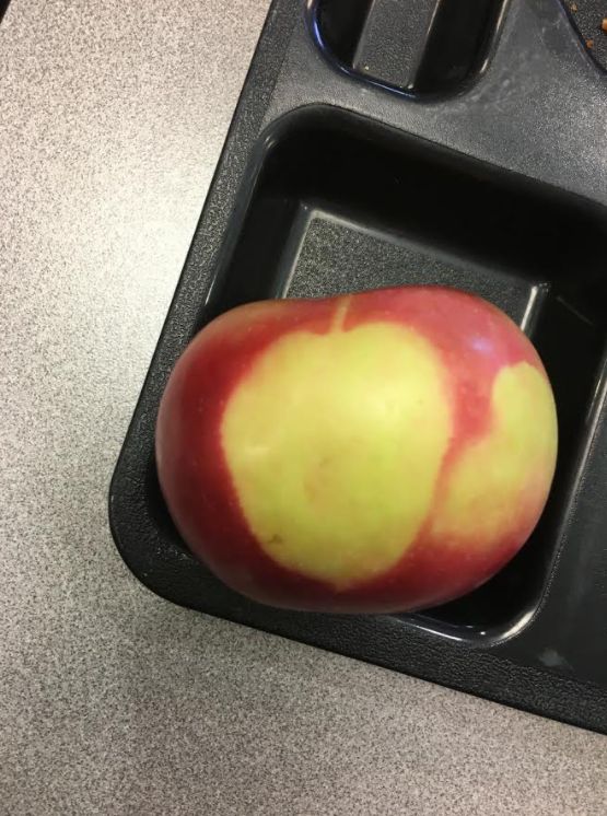 05-12-16-16220205881755394629