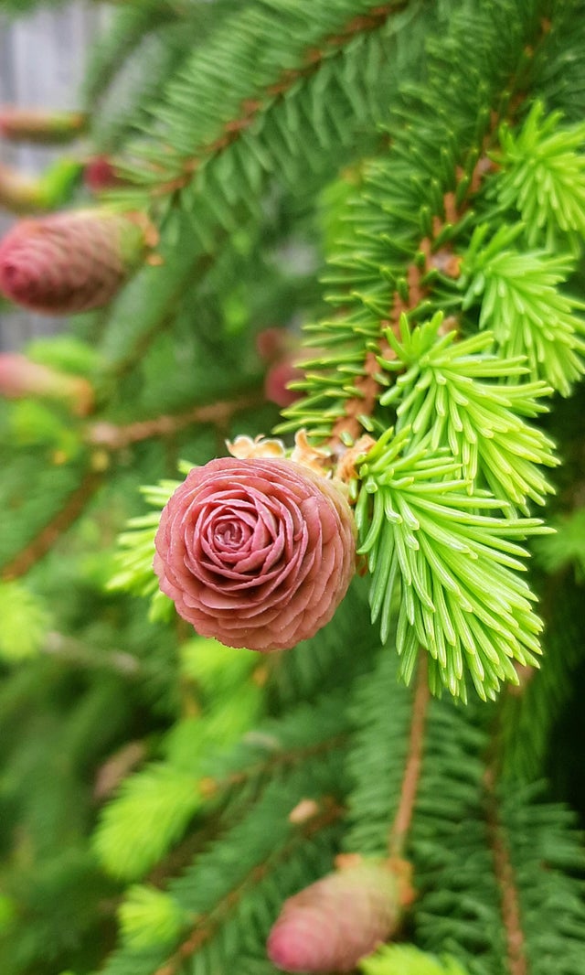 05-12-16-1622020594494380607