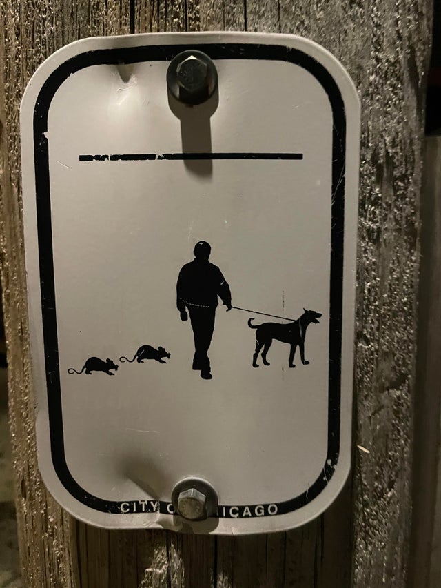 05-12-16-1622020603362787669