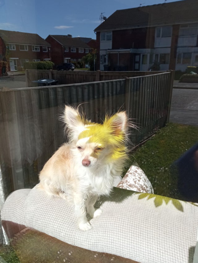 05-12-16-16220206161244610283