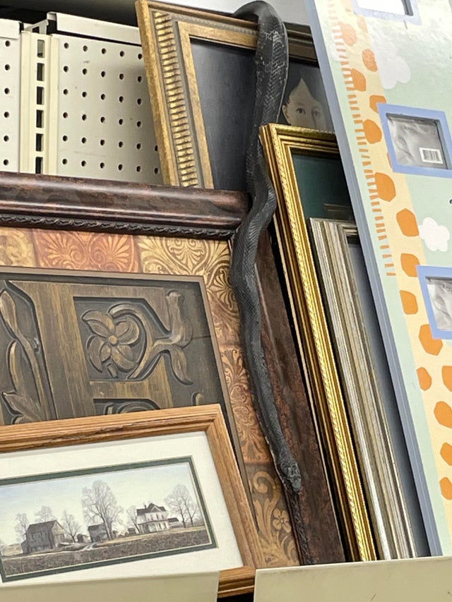 05-12-17-16220206442005952705