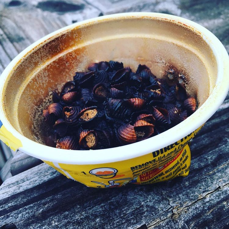 05-12-31-1620034270744016063