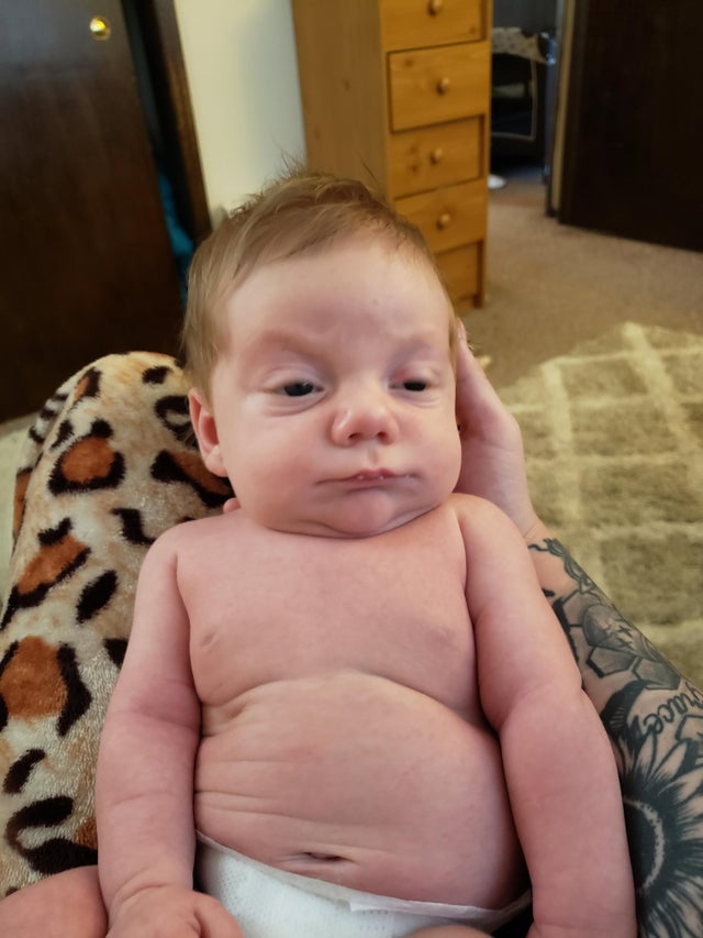 05-12-52-1621331540731588290