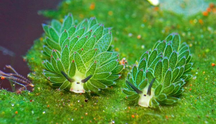 05-13-03-1620986603212119902