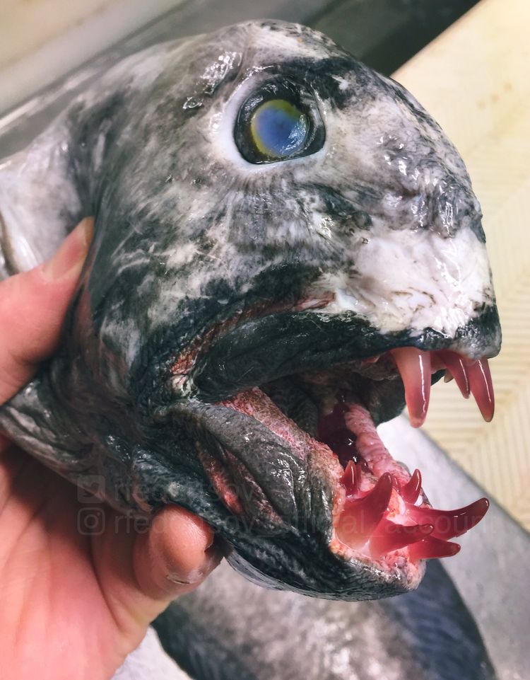 05-13-03-16209866171345330286