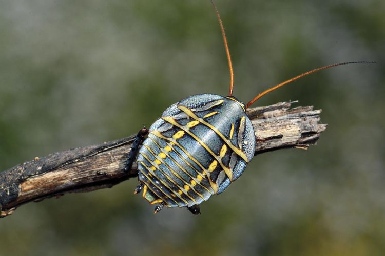 05-13-03-1620986630556601945