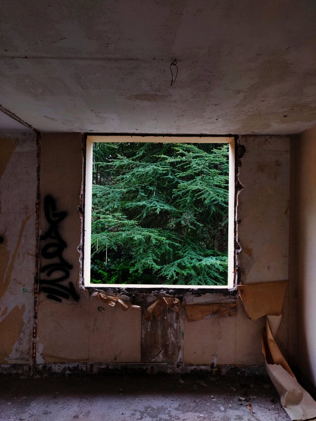 05-13-03-16219370331883970474