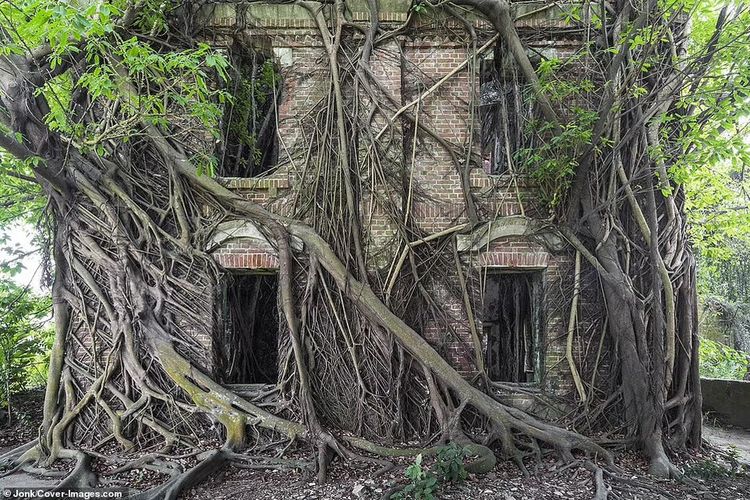 05-13-05-1621937109780348621