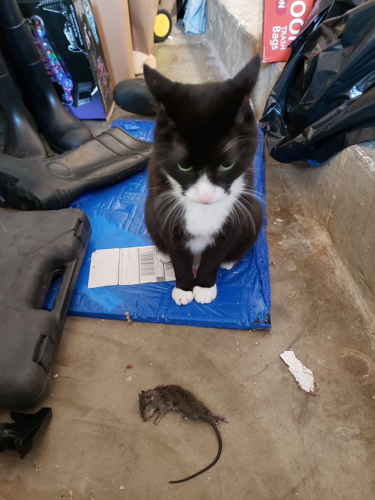 05-13-26-1620642394101496756