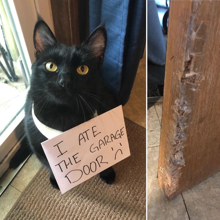 05-13-26-16206423941195159336