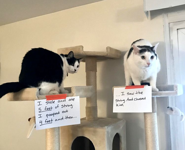 05-13-26-16206423941796955973