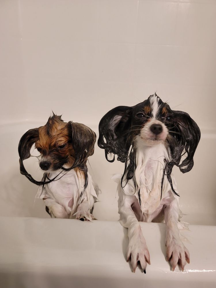 05-13-26-16206423941855575980