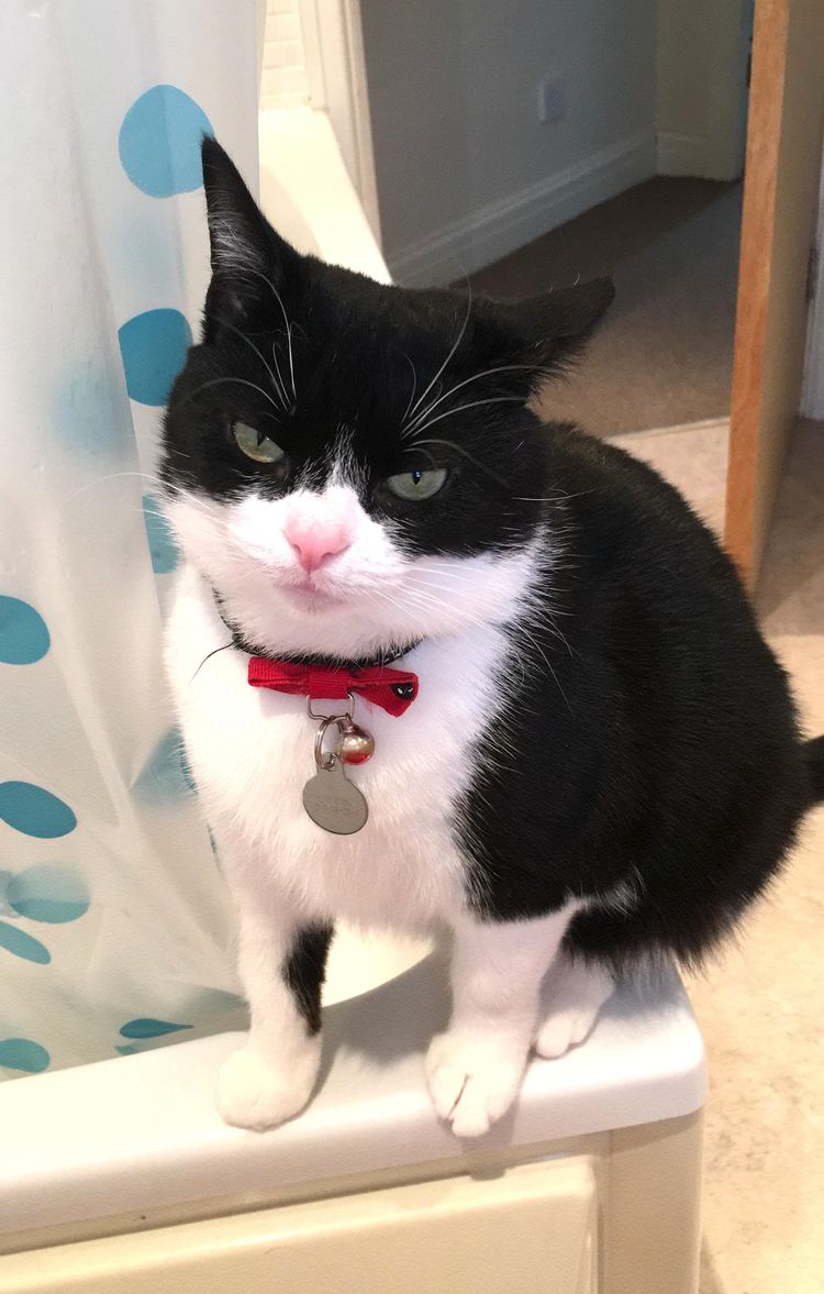 05-13-26-16206423942014317676