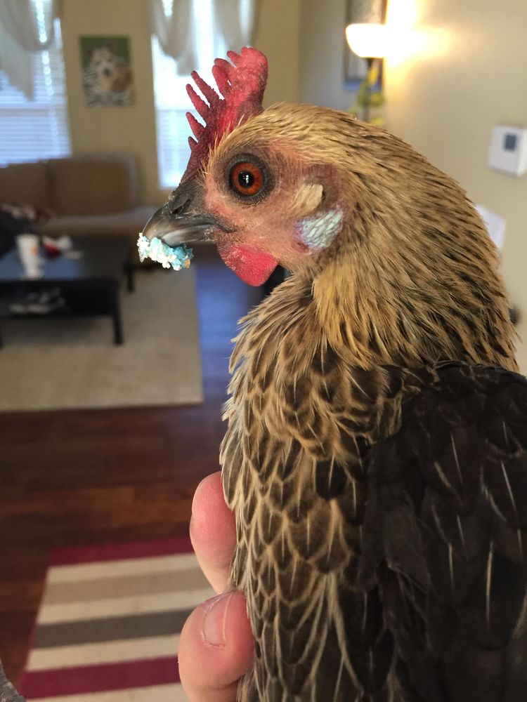 05-13-26-1620642394286551305