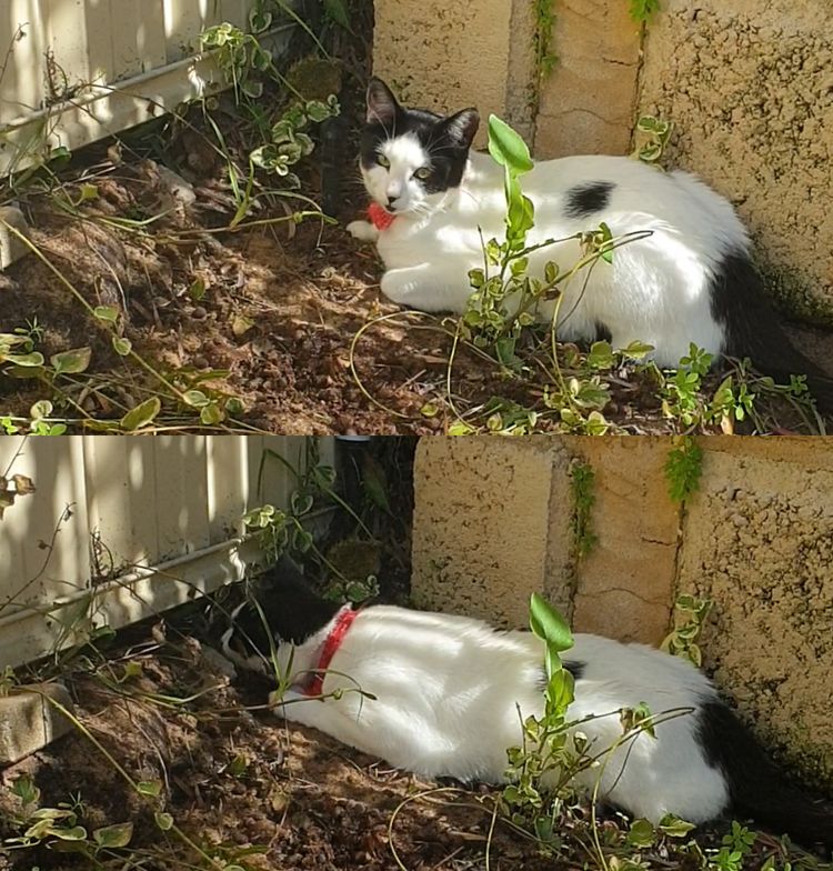 05-13-26-1620642394432532552