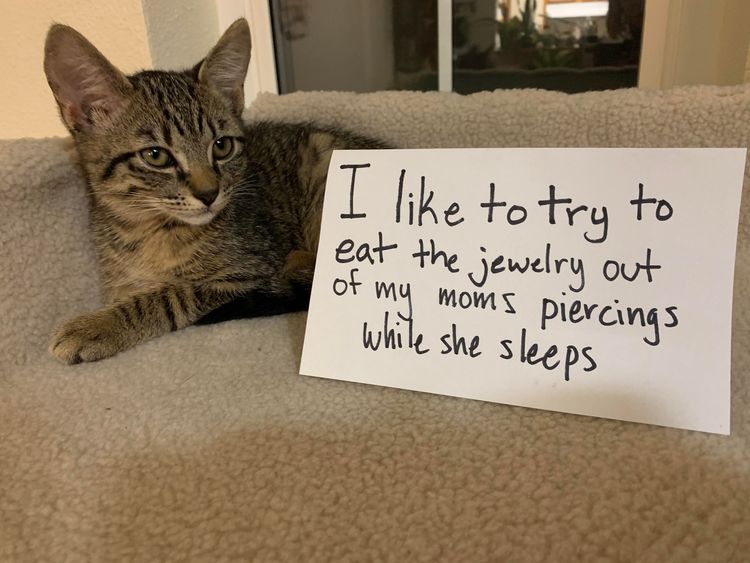 05-13-26-162064239451524511