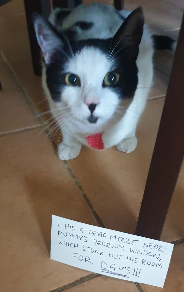 05-13-26-1620642394717332488