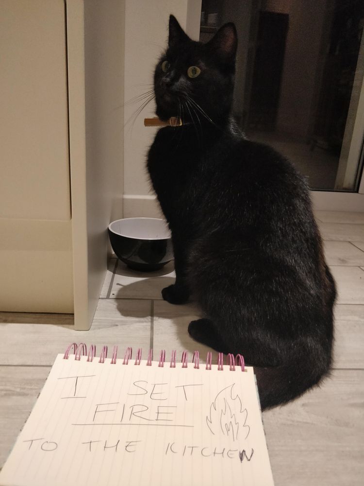 05-13-26-1620642394845099579