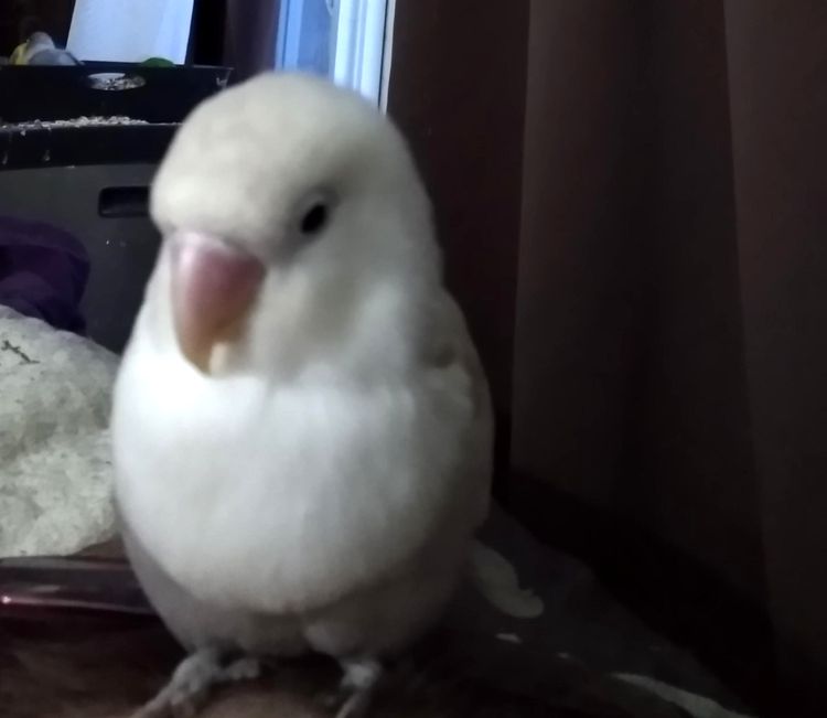 05-13-26-1620642394877374902