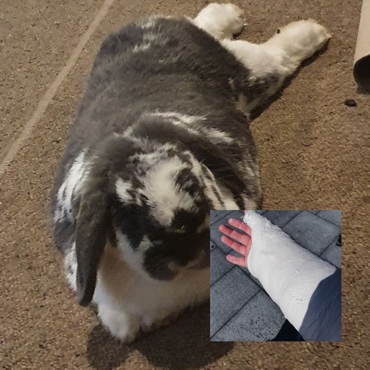 05-13-26-16206423951662924985