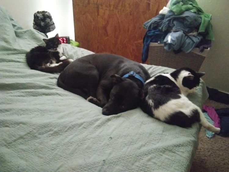 05-13-26-1620642395708919250