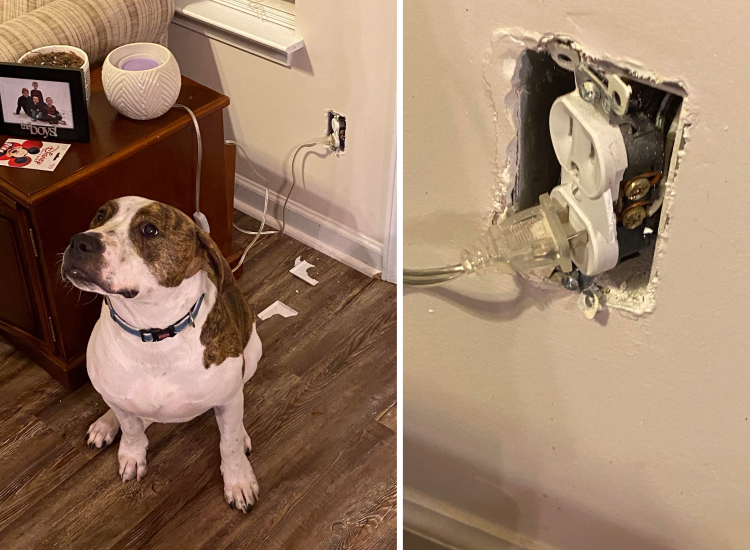 05-13-26-1620642395876771937