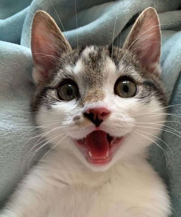 05-13-46-16209027862053279739