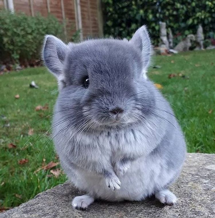 05-13-46-1620902800174730997