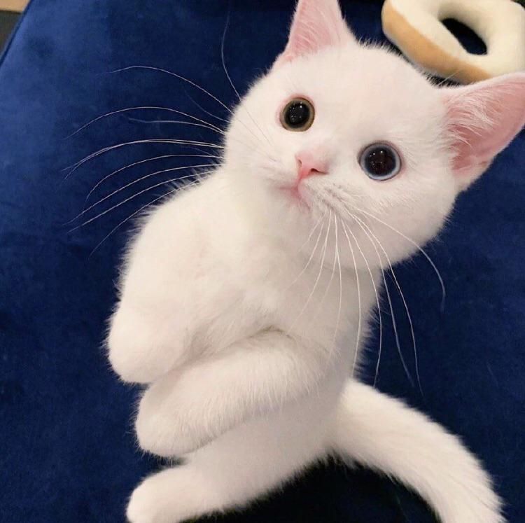 05-13-46-1620902818977452556