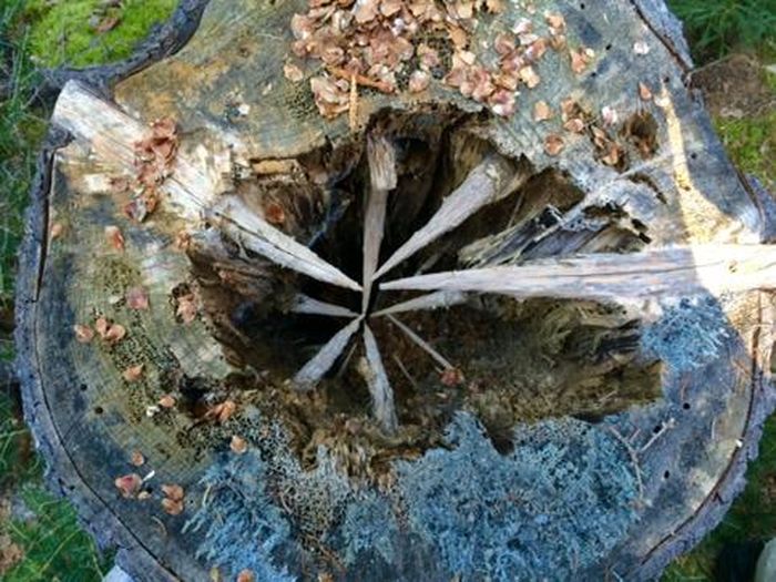 05-14-03-16207310271977025076