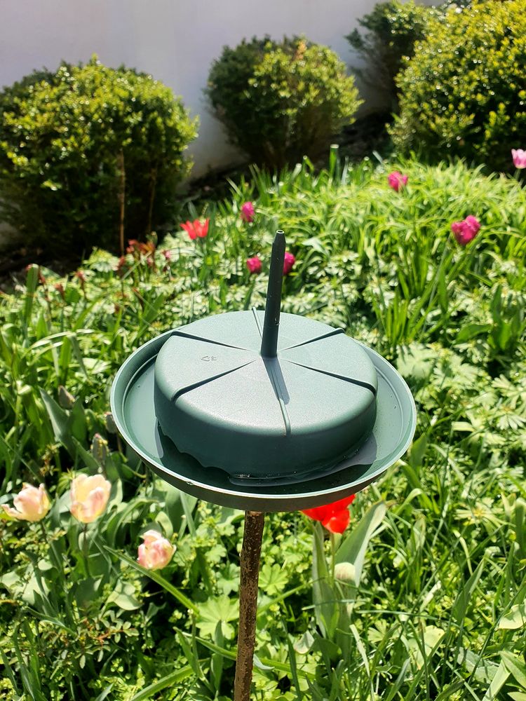 05-14-03-1620731029194137838