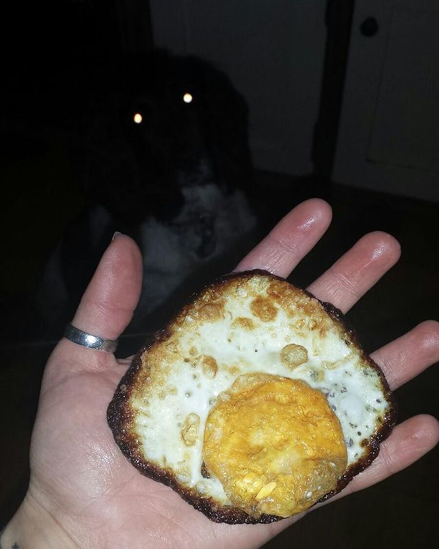 05-14-05-16207311531663653320