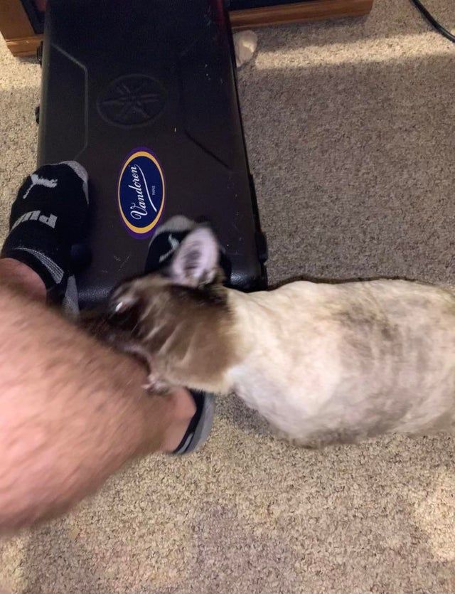 05-14-06-1621508784121915391