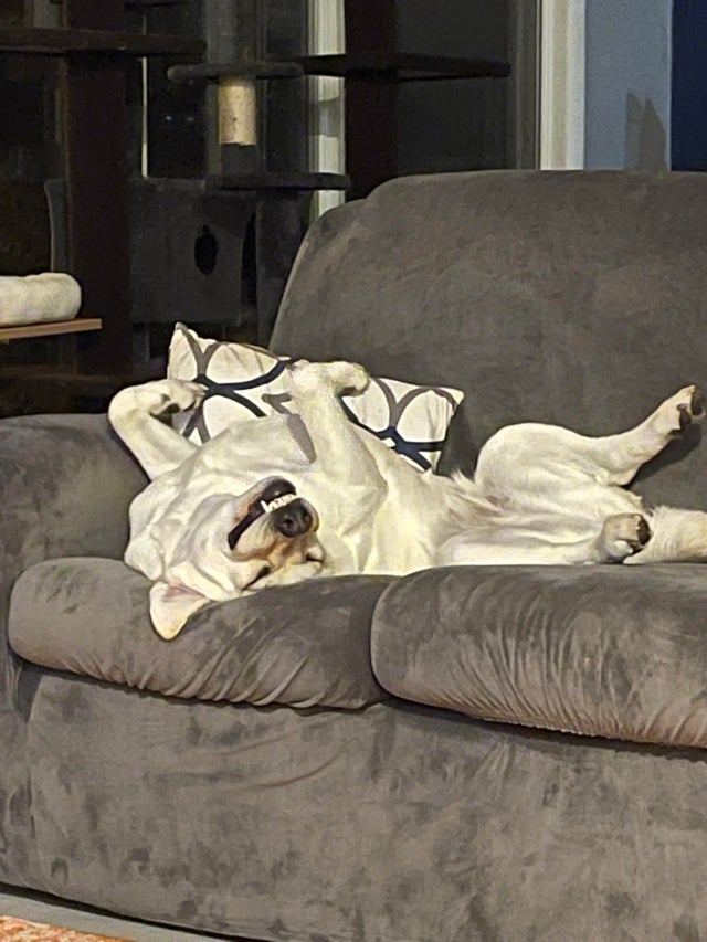 05-14-06-16218543761823816429