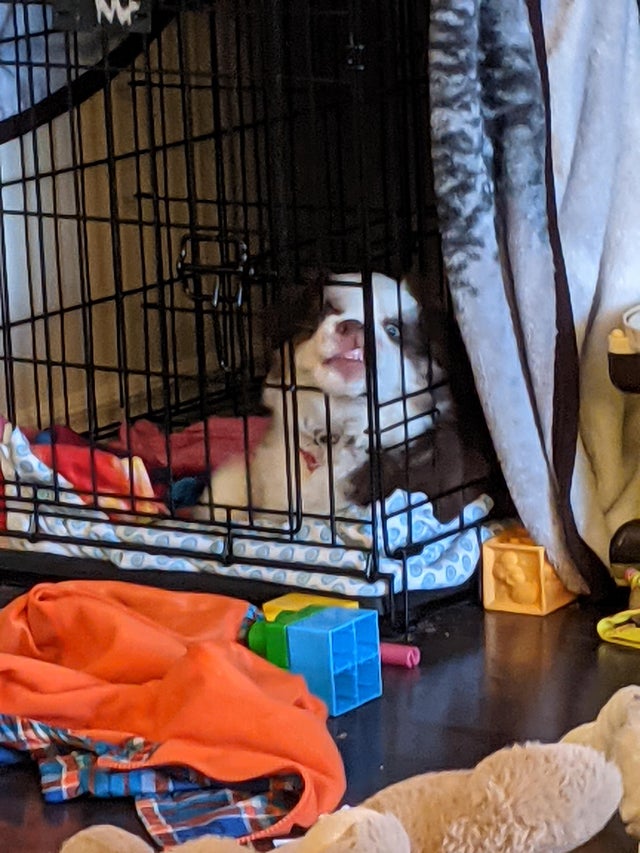 05-14-06-16218543781910960144