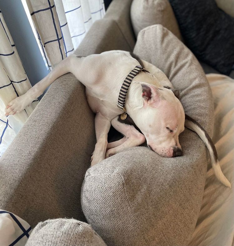 05-14-06-162185438164606348