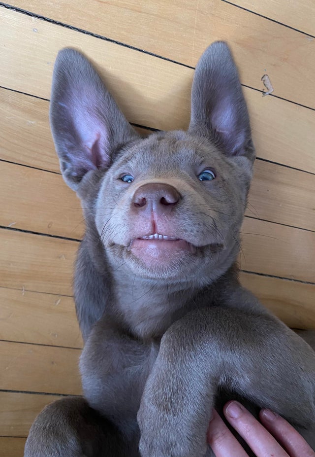 05-14-06-16218544091904077224