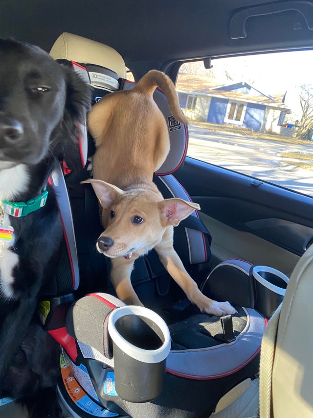 05-14-07-16218544271620364521