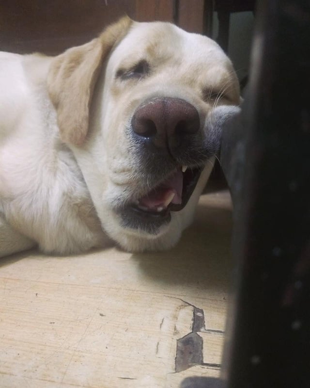 05-14-07-1621854432932162157