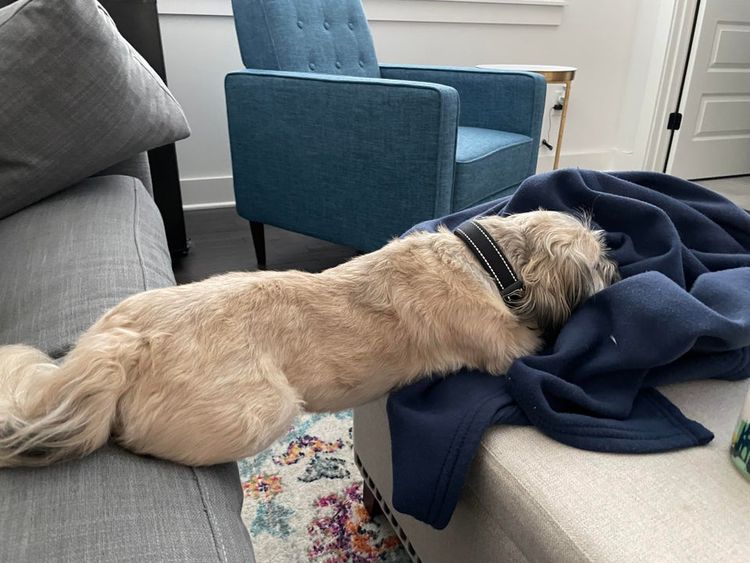 05-14-08-1621854508208482620