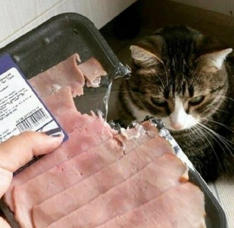 05-14-09-1621508969735253130