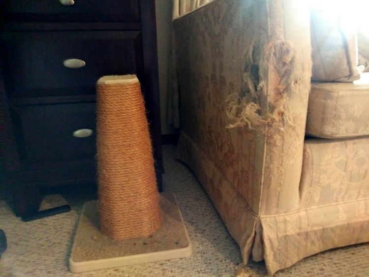 05-14-09-1621508990317634888