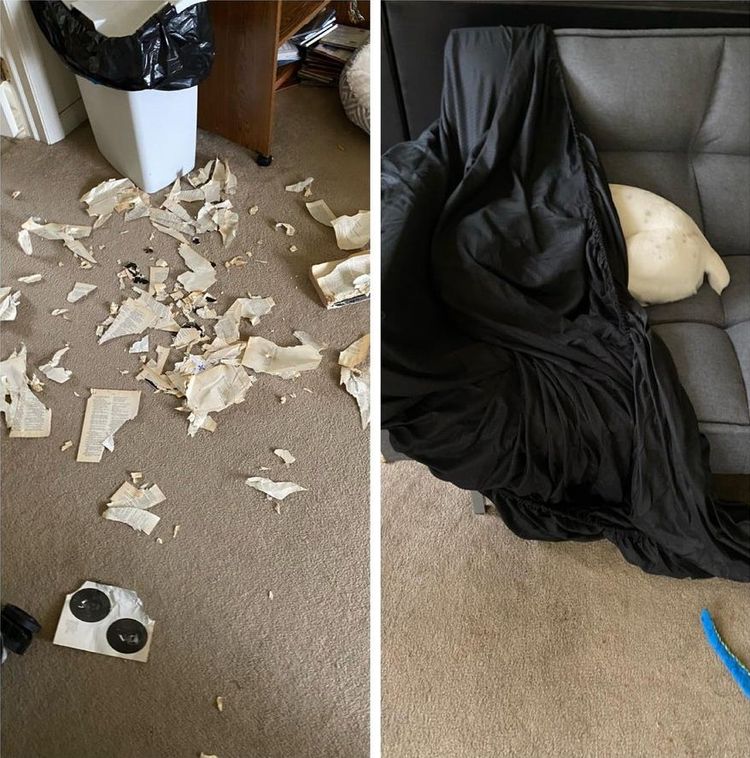 05-14-09-16215089962012194616